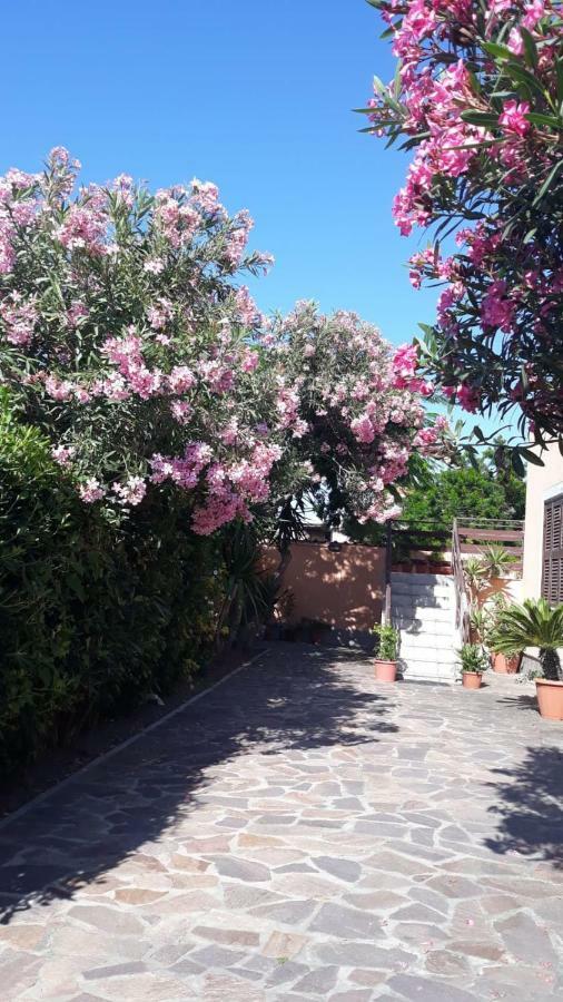 B&B Fiumicino Airport Resort Esterno foto